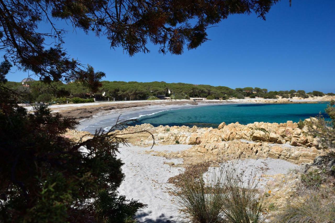 Villa Arancio Cala Liberotto Eksteriør bilde