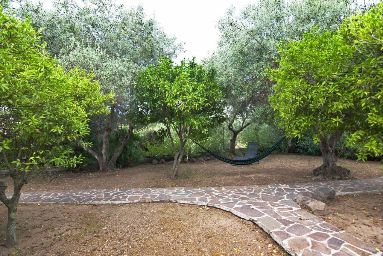 Villa Arancio Cala Liberotto Eksteriør bilde